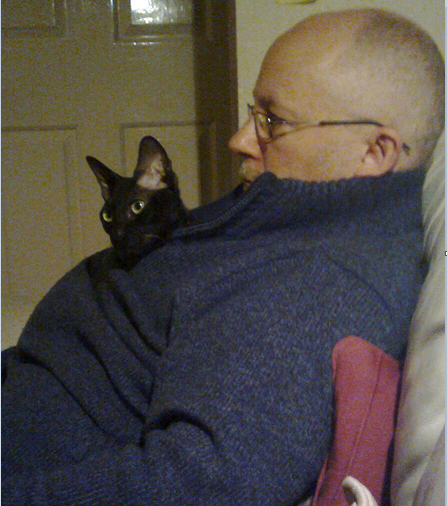Kali snuggling into my husband's jumper while he watches tv