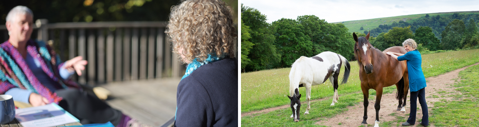 banner of 2 images - one shows Robyn Harris working with a woman at a wooden table on some wooden decking; the other shows Robyn massaging the back of one of the Equenergy horses while the other grazes next to them